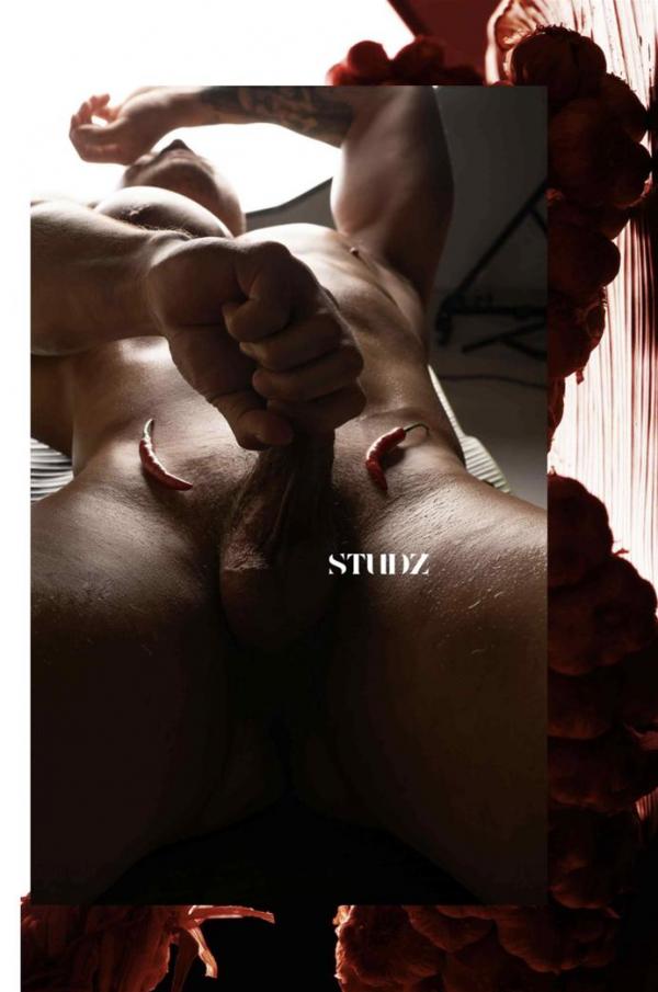 STUDZ-01--Zesty--Ebook--Video-